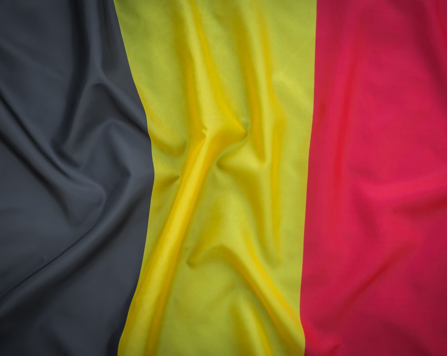 Belgium Work Visa 2024 Types, Application Process, Jobs