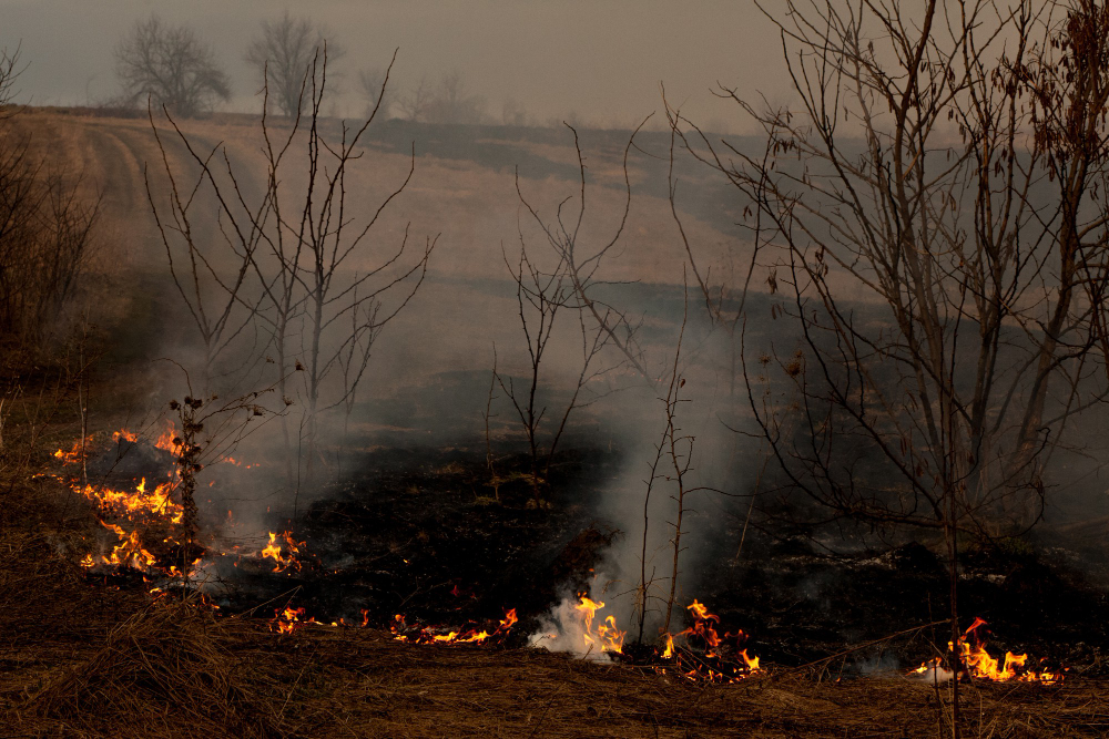 Five thousand hectares of forest are ablaze in Banke, Nepal.