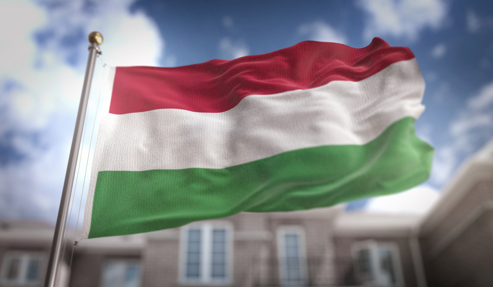 20 Careers That Boost Foreigners' Chances of Obtaining a Hungarian Work Visa