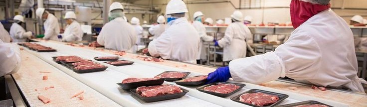 Meat Processing Worker Job